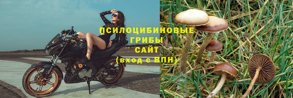 ешки Алексин
